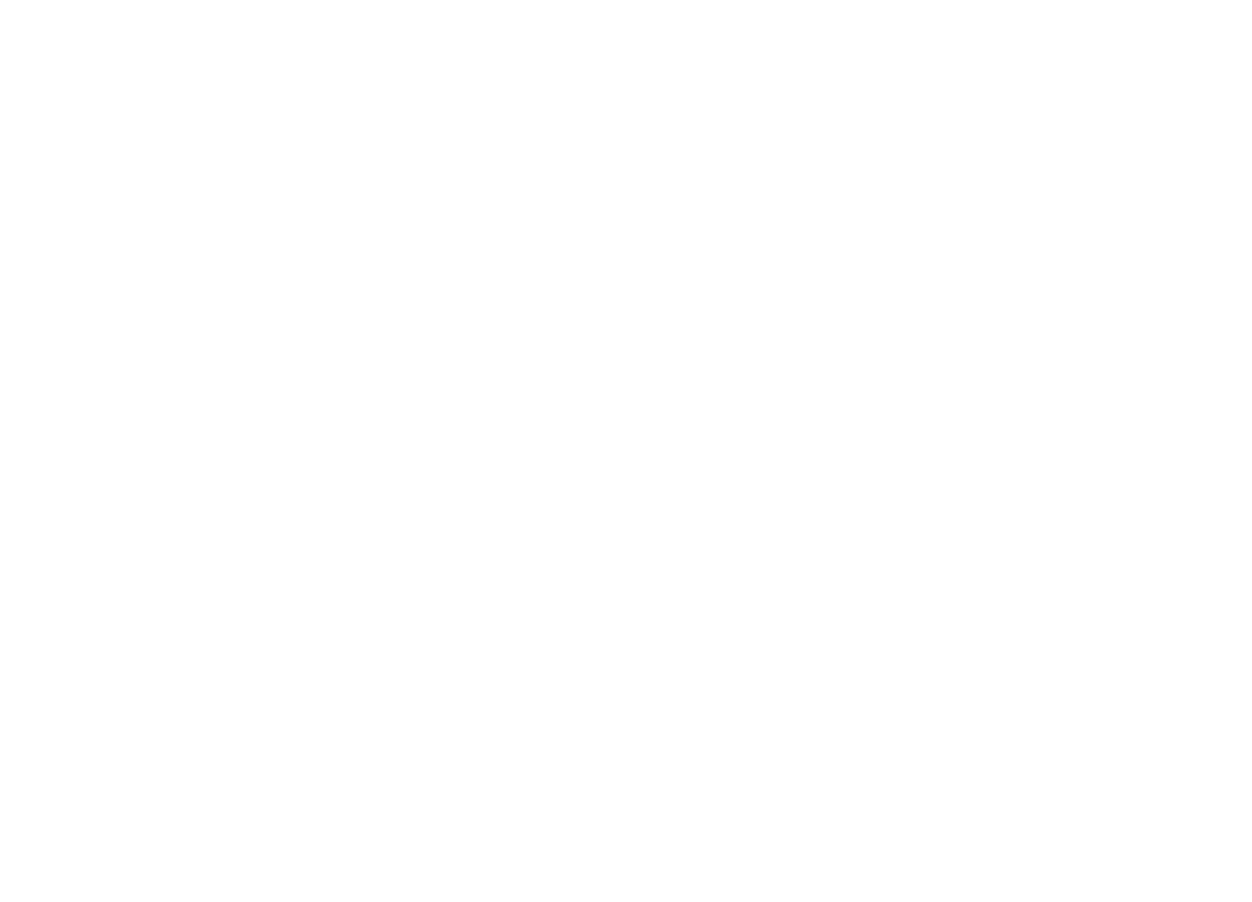 Google Partner logo